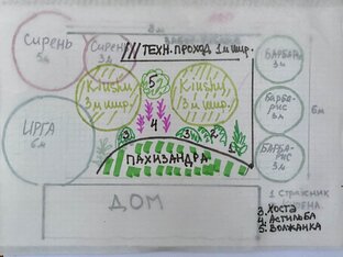 Схемы цветников