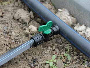 Опыт использования капельного полива