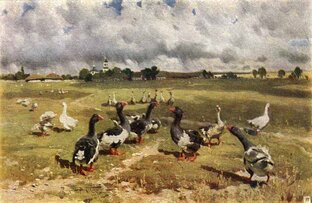 Так говорят в Понырях