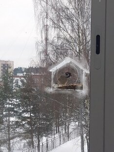 Зеркало воспоминаний