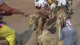 Отдых.Развлечение.Путешествия.