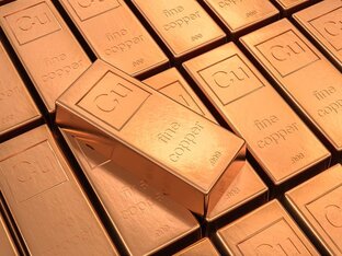 Ископамаемое 