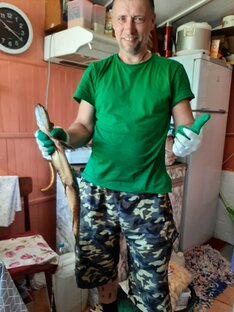 Дачные приключения