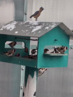 Самое интересное