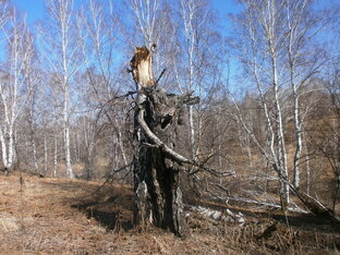 Всё и разное 