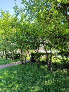 Фотографии природы, города и не только. 