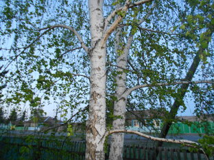 Мой город и моя малая, милая родина. 