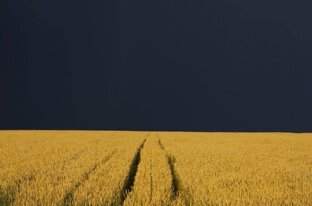 Рассказы о пророках