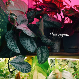 Про грунт
