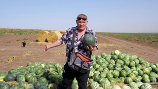 Путешествие 