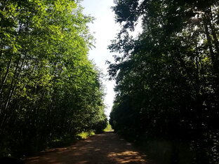 Статьи и посты о рыбалках и не только