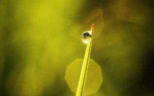 Избранные рассказы