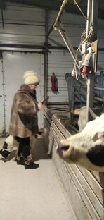 Гастрономические путешествия. 