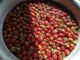 Заготовки на зиму