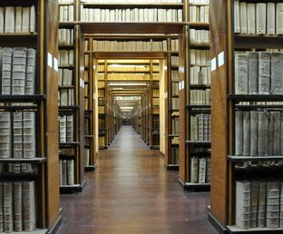 Весь учитель тут