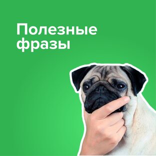 Полезные фразы