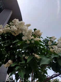 Город Владимир 