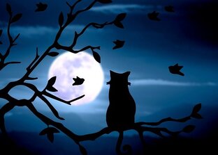 Мистические истории