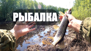 Рыбалка