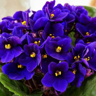 Ночной кинозал