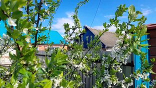 Мгновения нашей жизни