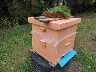 Улей своими руками