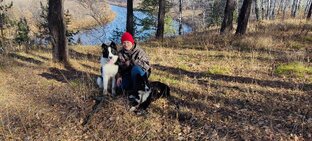 Якутские лайки