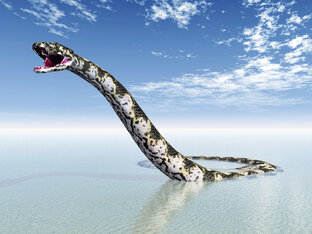 Интересные факты о доисторических животных