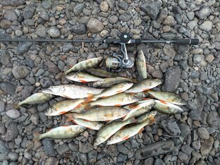 Полнометражные видео с летних сезонов