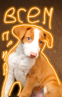 Это очень круто