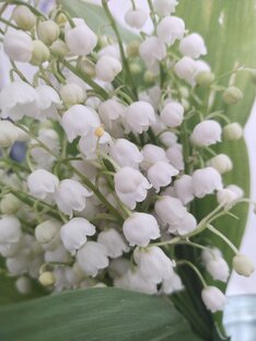 Романы, рассказы, сказки