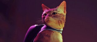 Квест-игра Stray.