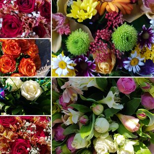 Природа-Сад-огород-Дзен