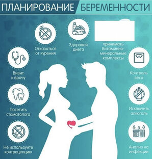 Все о зачатии 