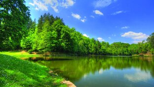 Путешествия.