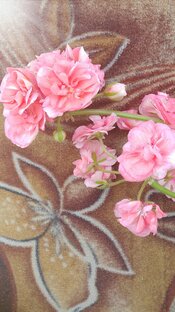  "Лето 2023 в фото"