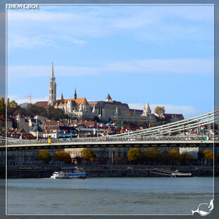 Питьевые заметки