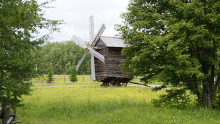 рассказ ДНЕВНИЧОК СЕВЕРНОЙ ПРИРОДЫ