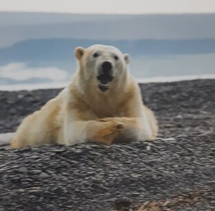 Фотовыставка в Кургане
