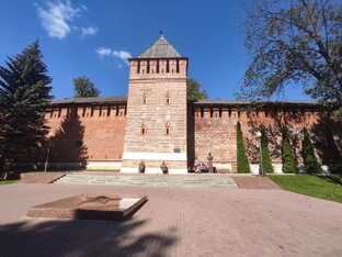 Жизнь вне спасения животных