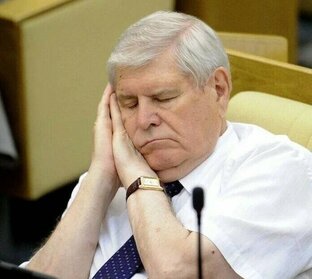 наша госдума