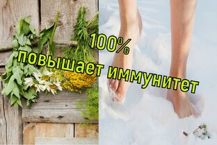 Здоровье, закаливание, заготовка трав...