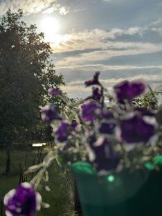 Участок