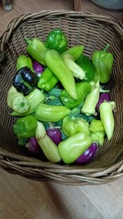 Во саду ли, в огороде