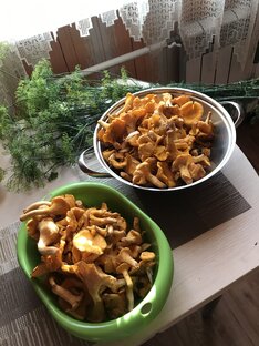 Заготовки. Полезные и красивые блюда. 