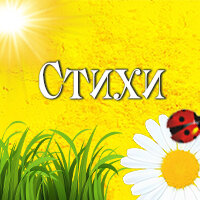 Стихи