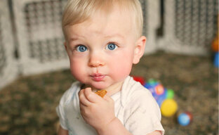 Всё о ГВ и прикорме