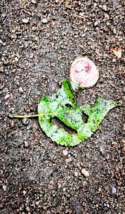 Статьи. Посты на эзотерические, экзистенциальные темы