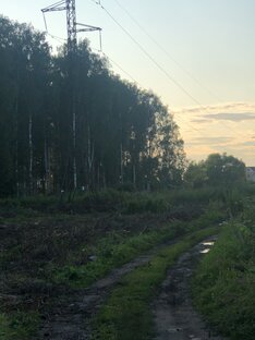 успех и тернистый путь к нему
