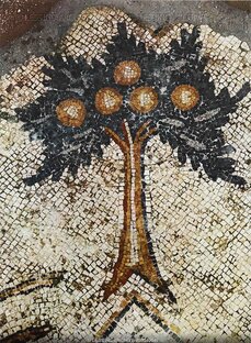 пост в отдельные дни